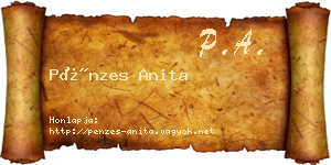 Pénzes Anita névjegykártya